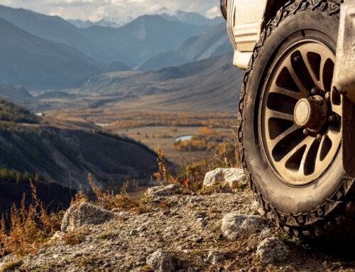 Dogs, Dirt, and Gear: The Best Used Vehicles for Outdoor Enthusiasts